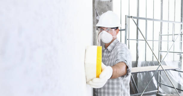 Best Emergency Mold Remediation  in Wacousta, MI